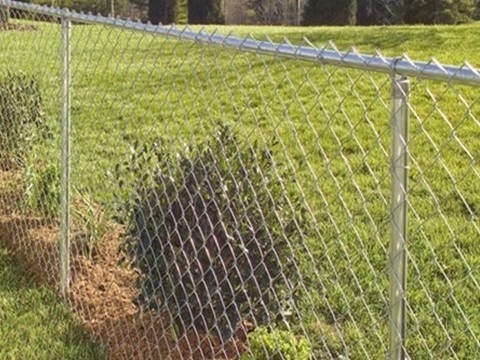 How To Get Affordable Galvanized Hexagonal Wire Netting - Outdoor Fencing.jpg - luckyyang